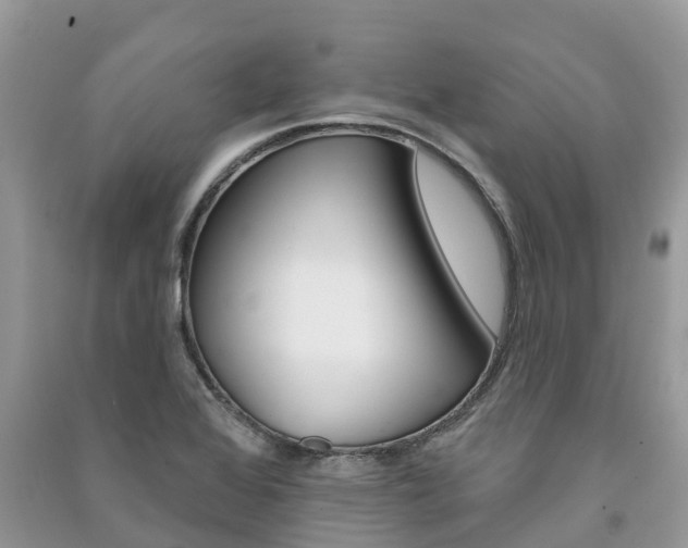 X0000091291368200708101017