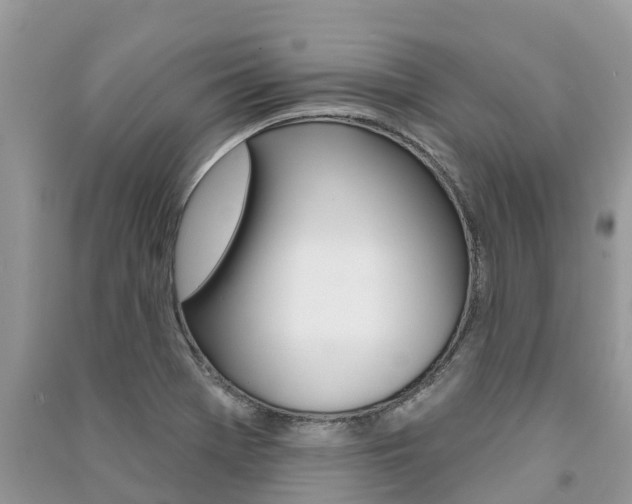 X0000091291369200708101017