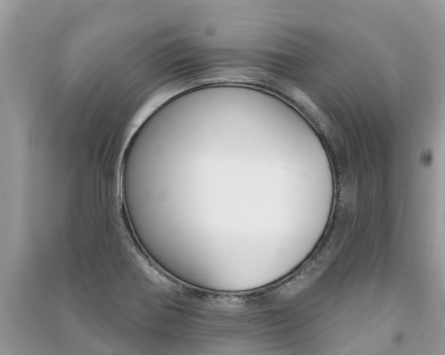 X0000091291370200708101017