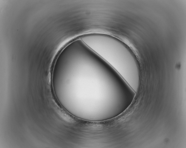 X0000091291372200708101017
