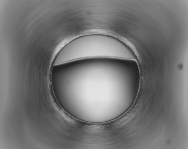 X0000091291373200708101017