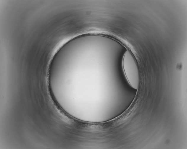 X0000091291375200708101017