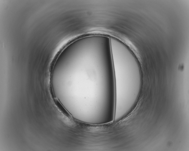 X0000091291376200708101017