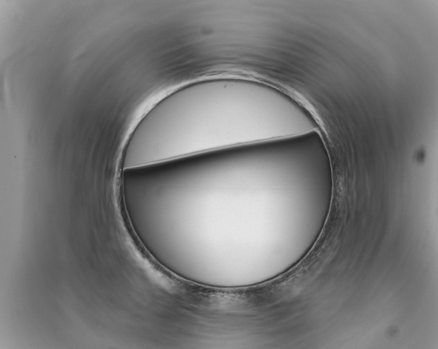 X0000091291379200708101017