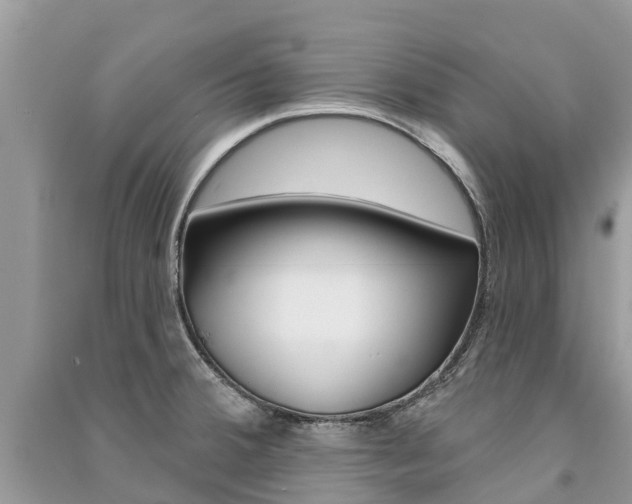 X0000091291380200708101017