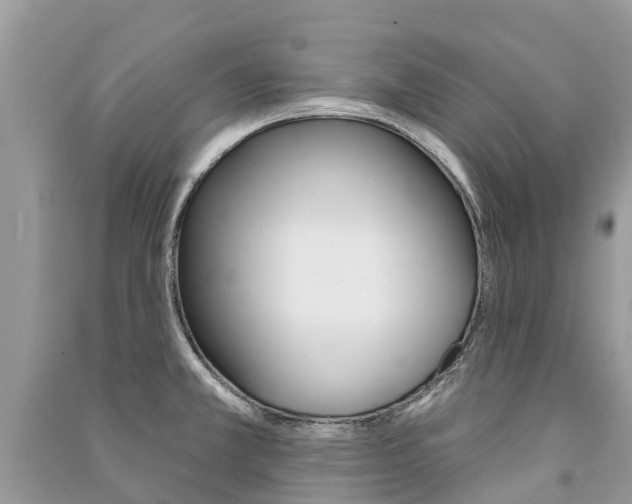 X0000091291381200708101017