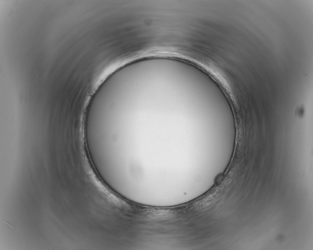 X0000091291382200708101017