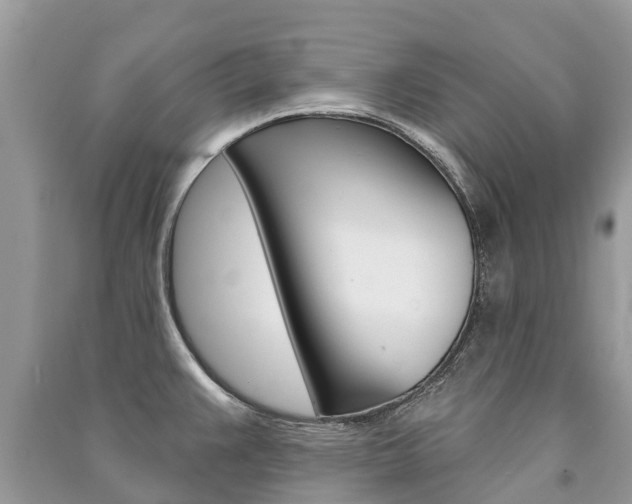 X0000091291383200708101017