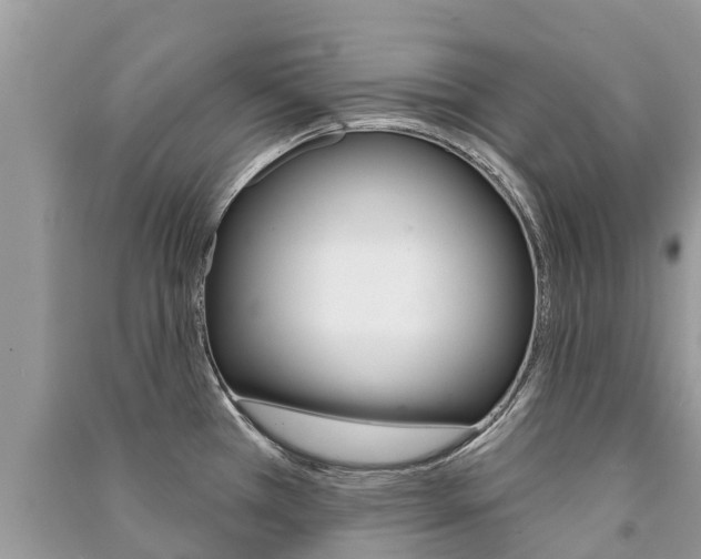X0000091291385200708101017