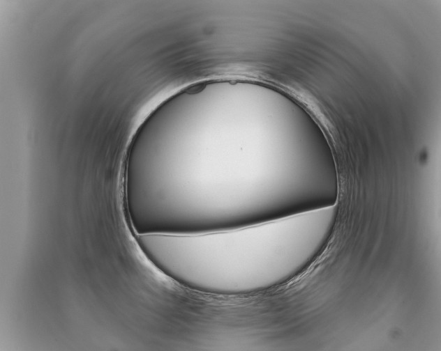 X0000091291387200708101017