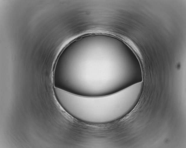 X0000091291388200708101017