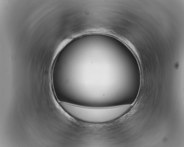 X0000091291389200708101017