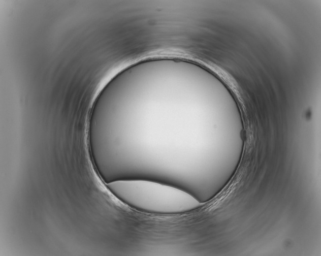 X0000091291390200708101017