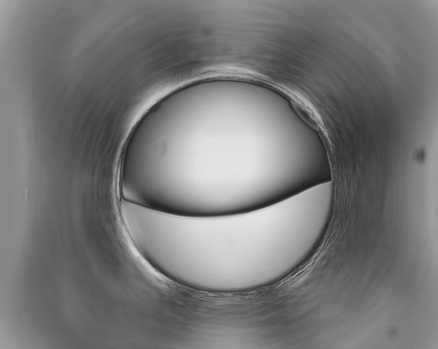 X0000091291391200708101017