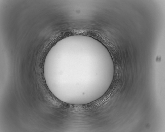 X0000091291393200708101016