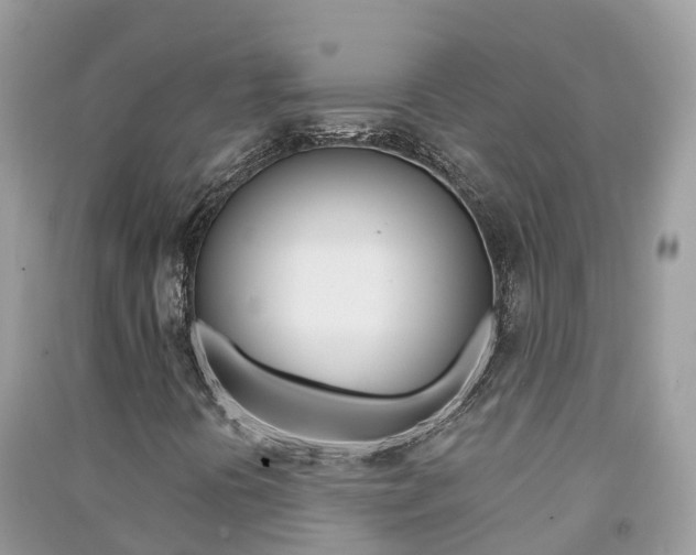 X0000091291394200708101016