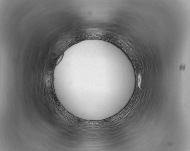 X0000091291395200708101016