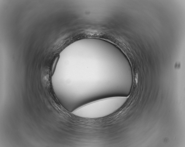 X0000091291396200708101016