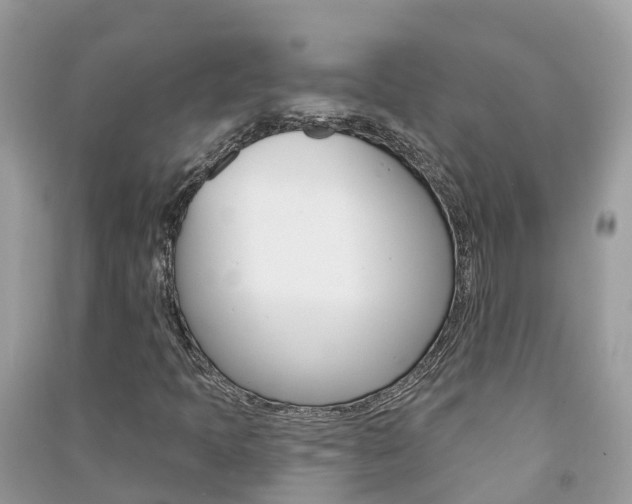 X0000091291397200708101016