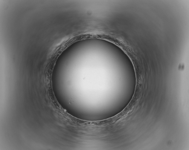 X0000091291398200708101016
