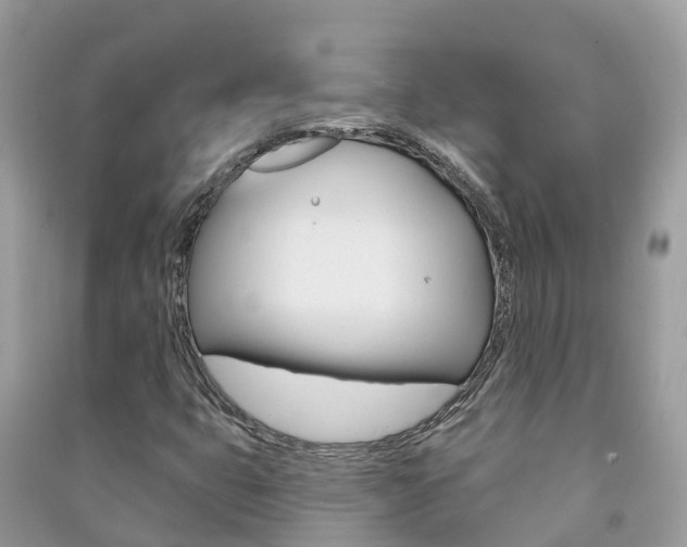 X0000091291399200708101016