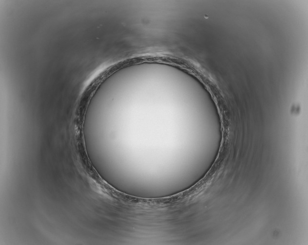 X0000091291400200708101016