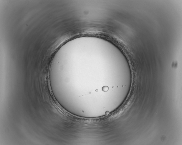 X0000091291401200708101016