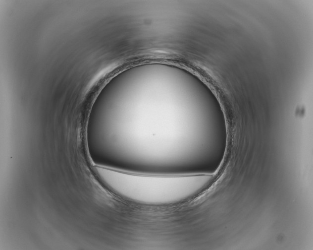 X0000091291402200708101016
