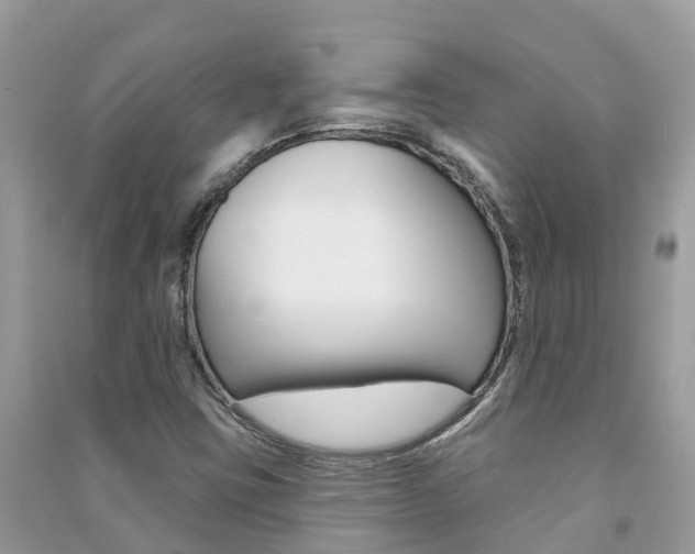 X0000091291403200708101016