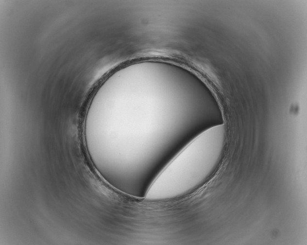 X0000091291404200708101016