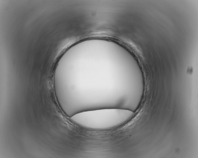 X0000091291405200708101016
