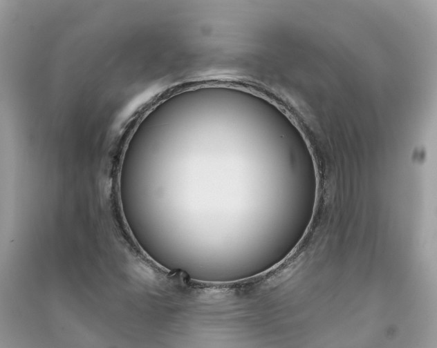 X0000091291406200708101016