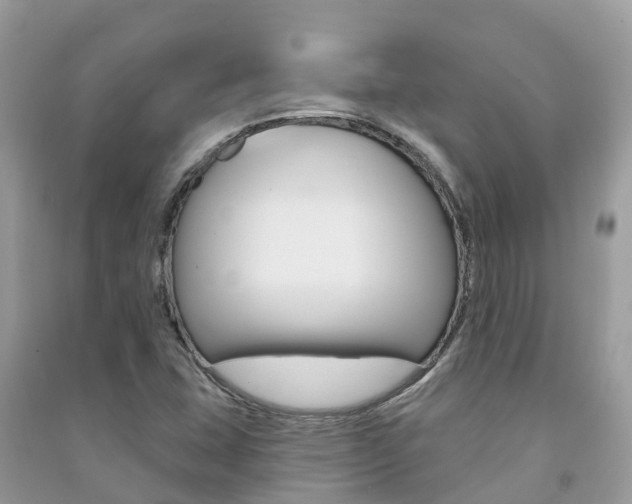 X0000091291407200708101016