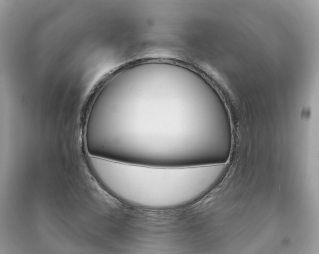 X0000091291408200708101016