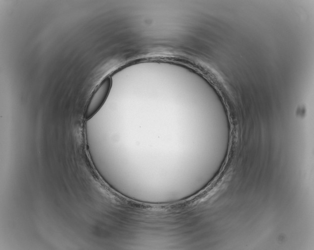 X0000091291409200708101016