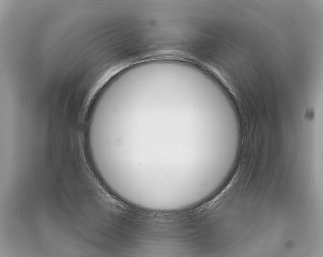 X0000091291410200708101016