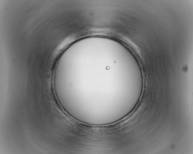 X0000091291411200708101016