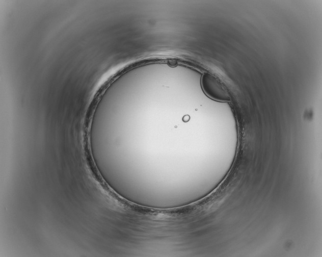 X0000091291412200708101016