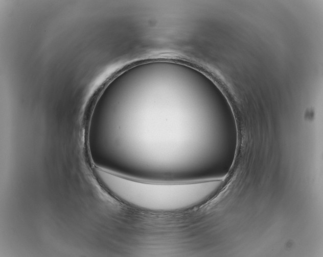 X0000091291414200708101016