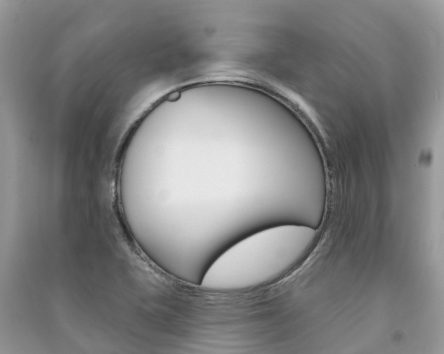 X0000091291415200708101016