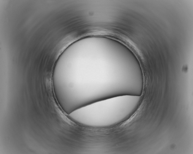 X0000091291417200708101016