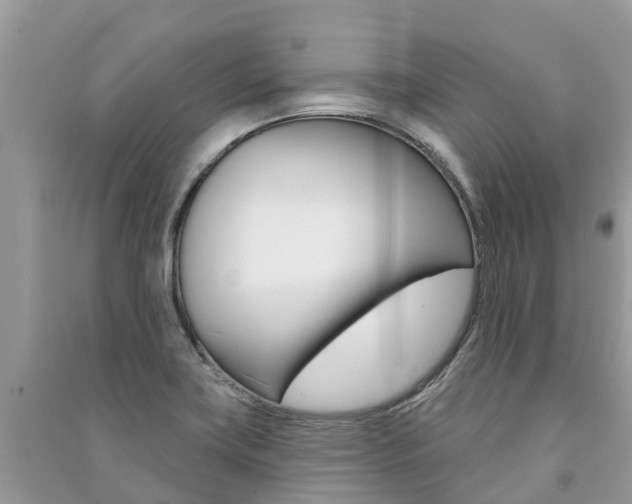 X0000091291419200708101016