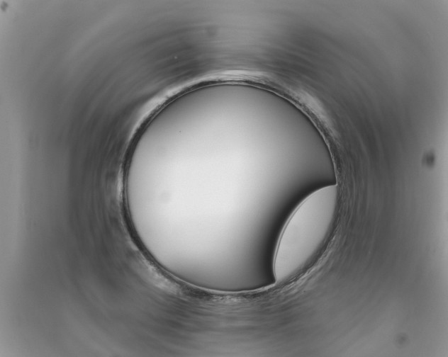 X0000091291420200708101016