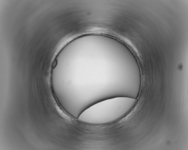 X0000091291421200708101016
