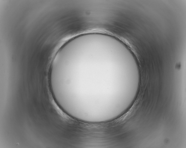 X0000091291422200708101016