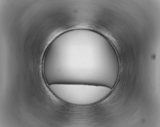 X0000091291423200708101016