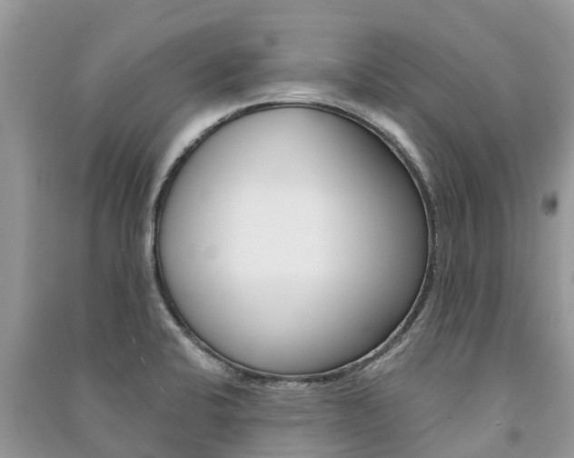 X0000091291424200708101016