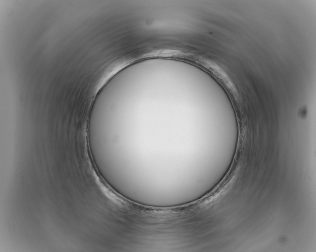 X0000091291425200708101017