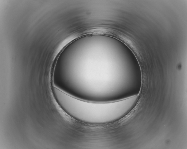 X0000091291426200708101017