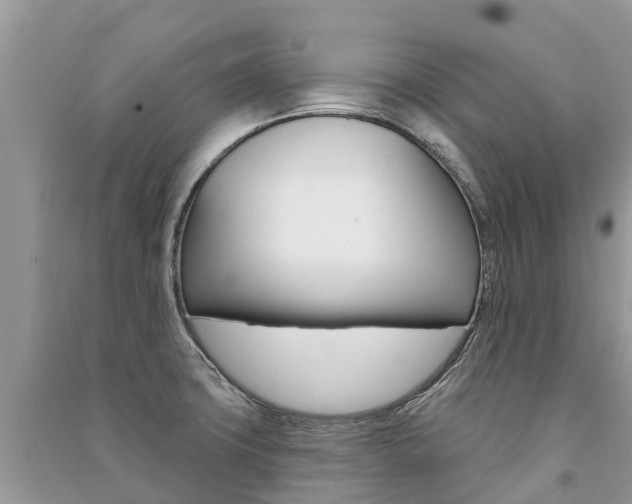 X0000091291427200708101017